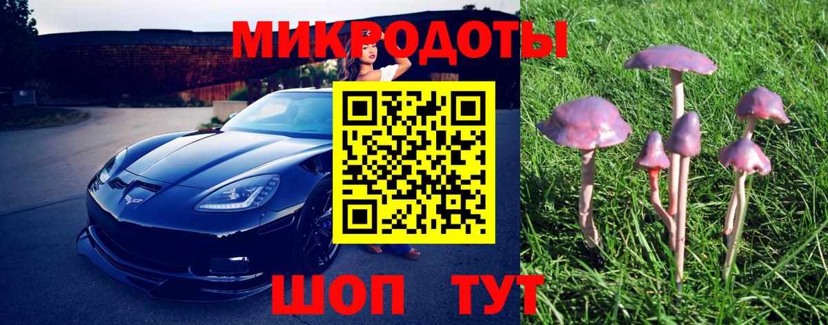 Прохладный  Псилоцибиновые грибы Magic Shrooms  дарнет шоп  Вход с VPN  Псилоцибиновые грибы Magic Shrooms 