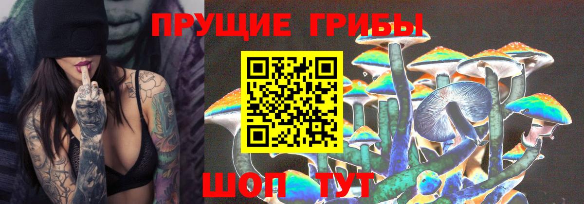 Псилоцибиновые грибы мицелий Прохладный
